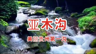 小初音大冒险
