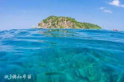 救援小洋葱