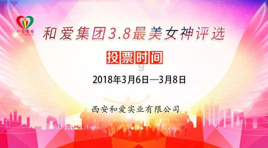 金牌保镖熊先生