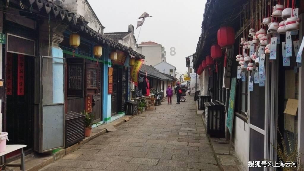 动物帮帮忙保卫家园
